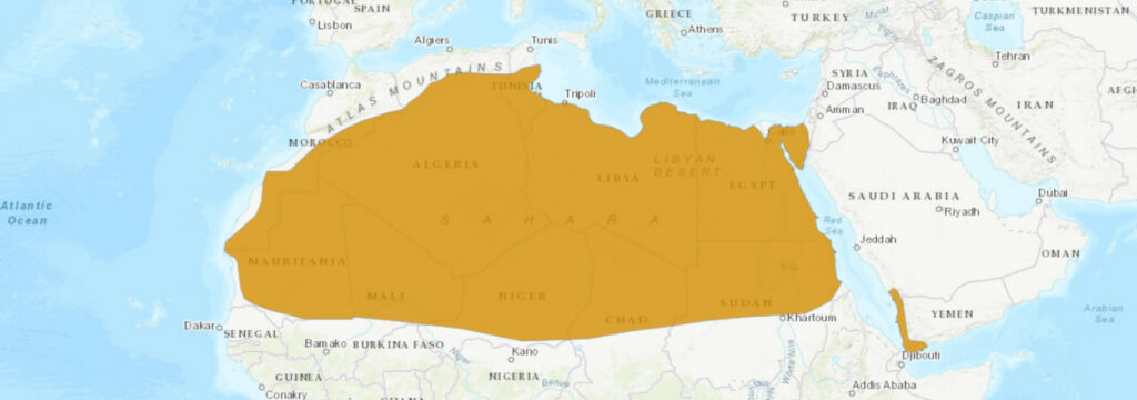 Aire de répartition du Cerastes cerastes