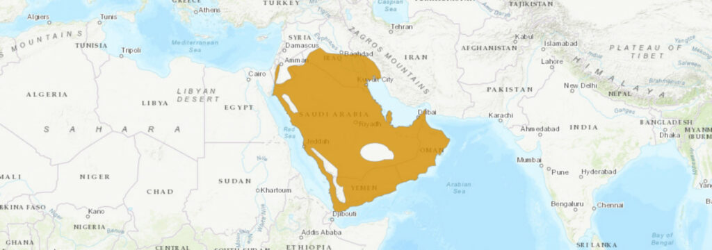 Aire de répartition du Cerastes gasperettii