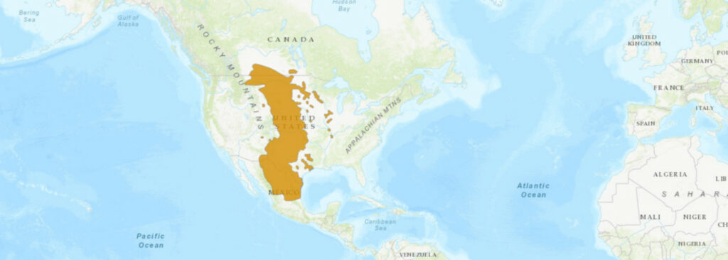 Aire de répartition de l'Heterodon kennerlyi