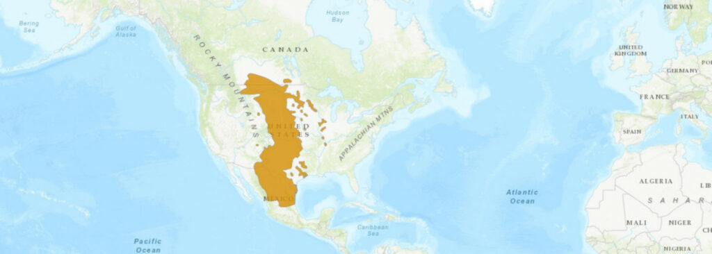 Aire de répartition de l'Heterodon nasicus