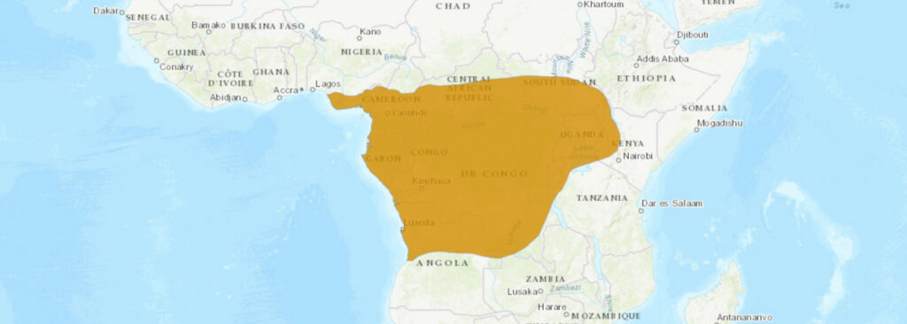 Aire de répartition du Dendroaspis jamesoni