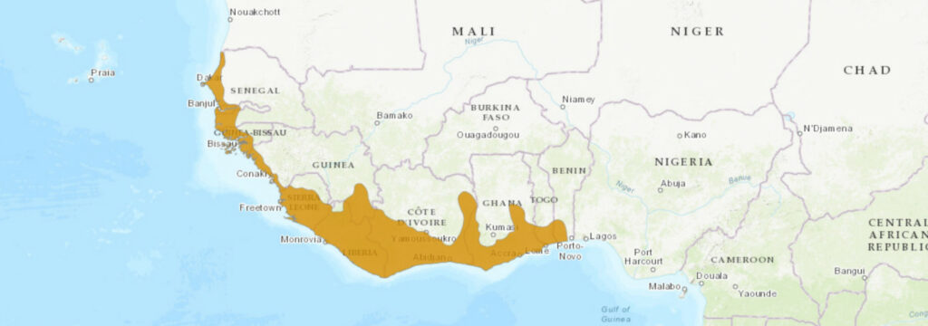 Aire de répartition du Dendroaspis viridis