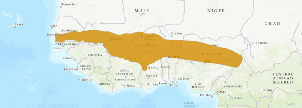 Aire de répartition du Naja katiensis