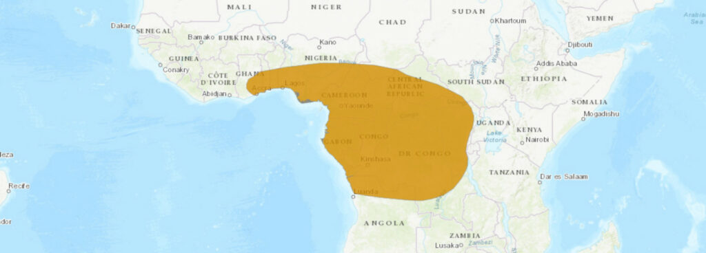 Aire de répartition du Naja melanoleuca