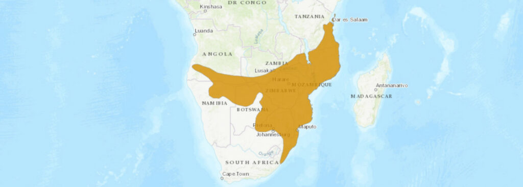 Aire de répartition du Naja mossambica